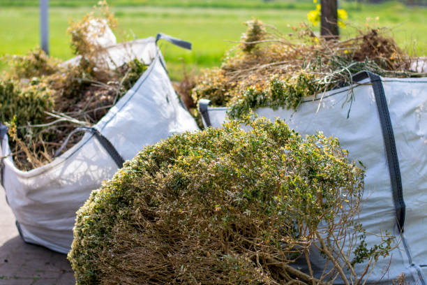 Best Dumpster Rental Services  in Pierre, SD